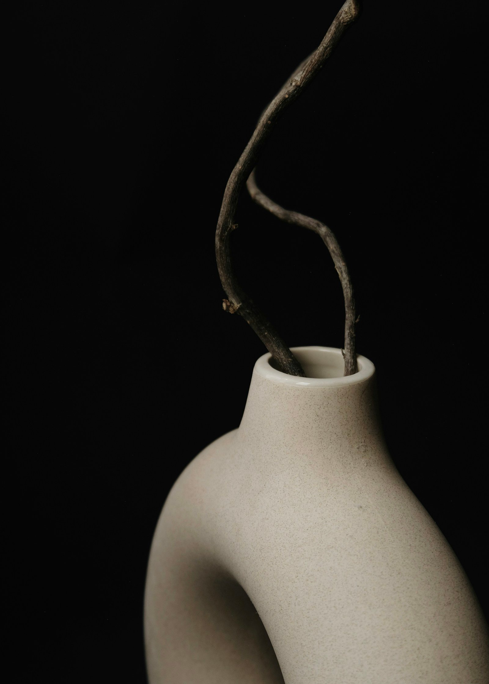 Gros plan sur un vase en céramique au design épuré