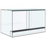 Terrarium Verre Format Compact — Croissance Optimale des Plantes