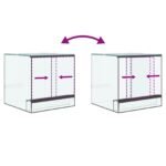 Terrarium en Verre Cube – 30 cm Vue Panoramique – vue 11