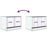 Petit Terrarium en Verre – 40 x 30 x 30 cm – vue 11