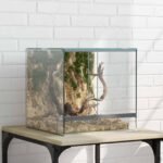 Terrarium en Verre Cube – 30 cm Vue Panoramique – vue 2