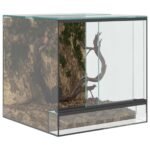 Terrarium en Verre Cube – 30 cm Vue Panoramique – vue 3