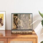Terrarium en Verre Cube – 30 cm Vue Panoramique – vue 4