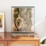Terrarium en Verre Haut – 30 x 30 x 40 cm – vue 4