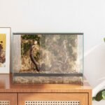Petit Terrarium en Verre – 40 x 30 x 30 cm – vue 4