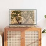 Terrarium en Verre – 60 x 40 x 40 cm – vue 4