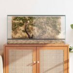 Grand Terrarium en Verre – 80 x 40 x 40 cm – vue 4